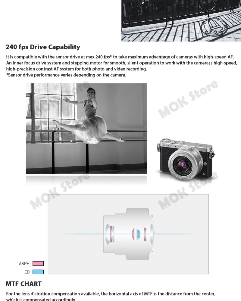 Panasonic LUMIX G VARIO 12-32mm f/3.5-5.6 Lens Silver ASPH MEGA